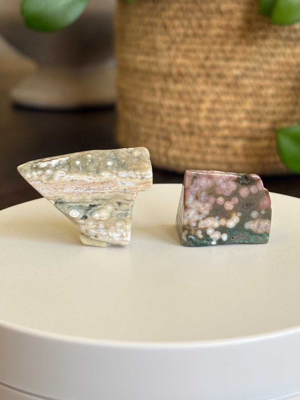 Druzy Ocean Jasper Crystal Set - Polished Sea Jasper Bundle - Picture 7 of 7